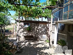 image_5
