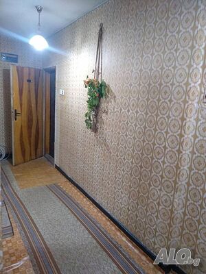image_11
