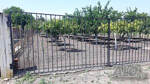 🌳 Продава се дворно място в село Безмер! 🌳