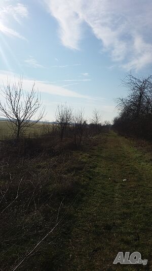image_6