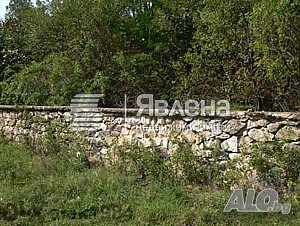 image_3