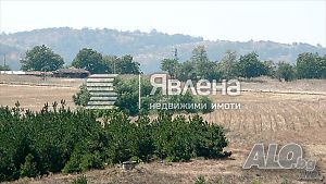image_3