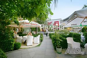 image_11