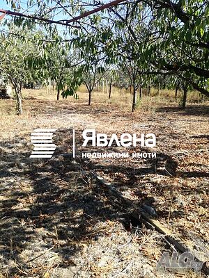 image_5