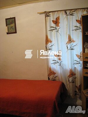image_7