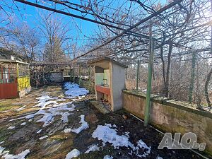 image_6