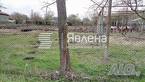image_7