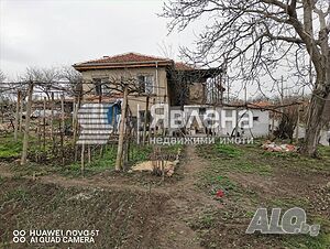 image_3