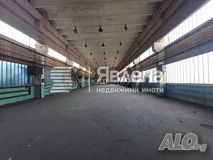 image_4