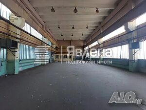 image_5