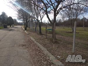 image_9