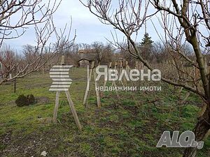 image_4