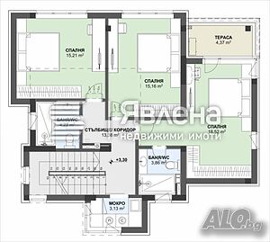 image_3