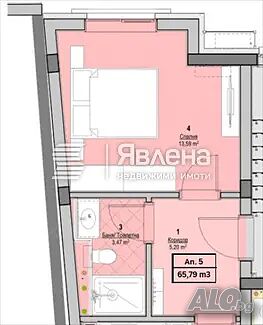 image_5
