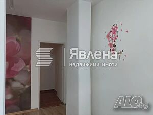 image_8