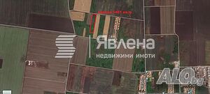 Лозе в Поморие м-т Кошарите ID 137868