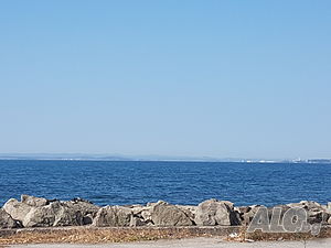 image_2
