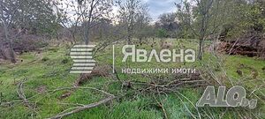 image_10