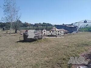 image_4