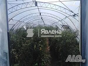 image_8