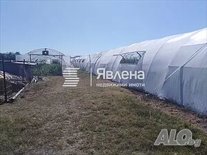 image_7