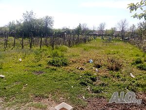 image_10