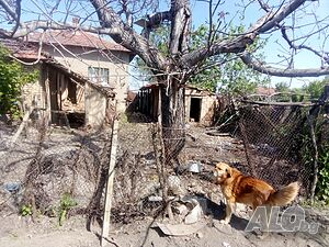 image_11