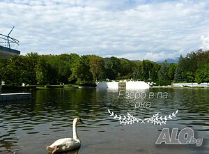 image_29