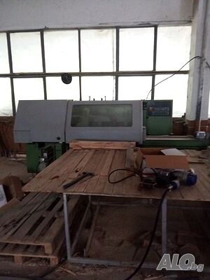 Петрстранка италианска, размер 12- 24см.