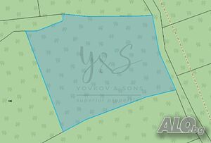 3 дка с уникална панорамна гледка в Брестовица!