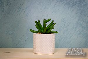 image_21