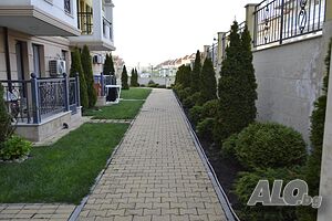 image_8