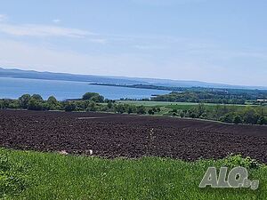 image_8