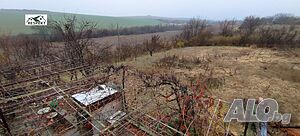 image_11