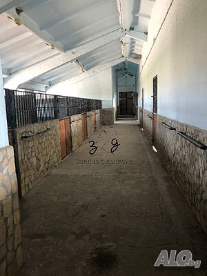 image_8