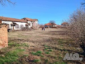 image_6