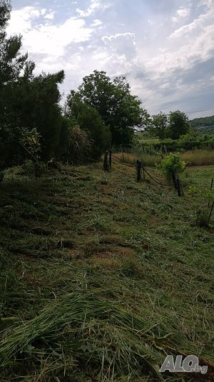 image_3