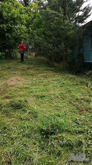 image_7
