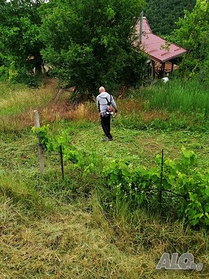 image_5