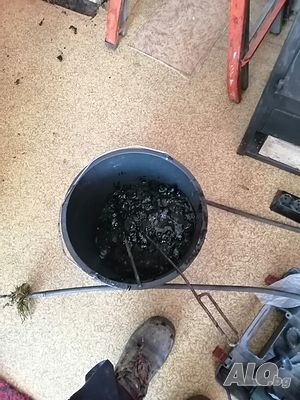image_6