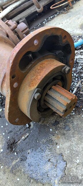 image_6