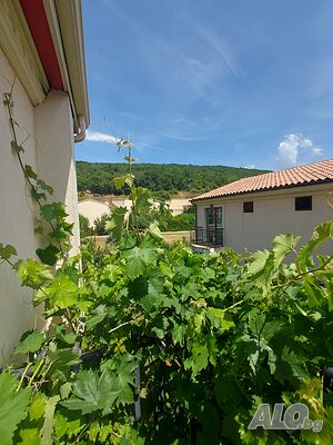 image_11