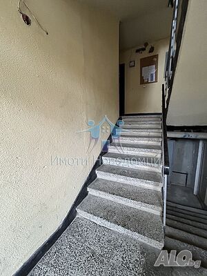 image_5