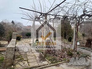 image_5