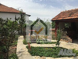 image_7