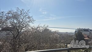image_6