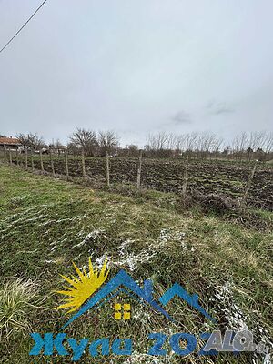 image_4