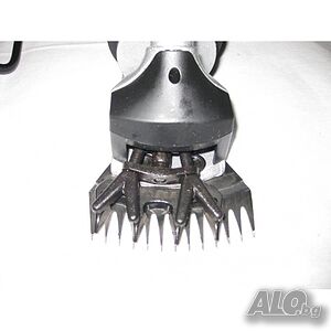 image_6
