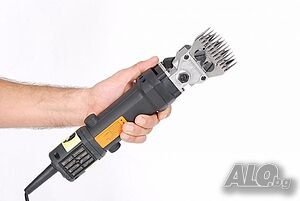 image_3