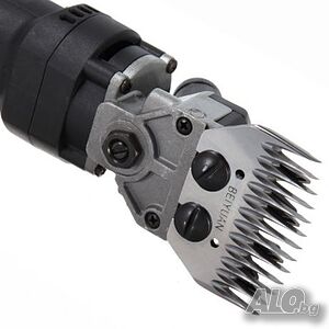 image_7